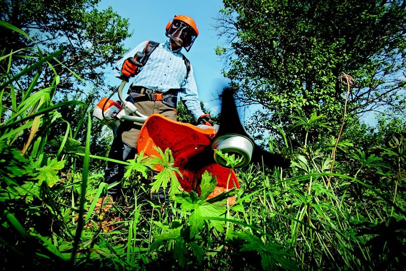 Thinning Plants